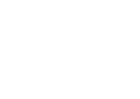 TheSoulClinic logo